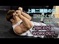 上腕二頭筋を太くできるワークアウト[Biceps Workout]