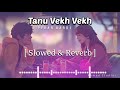 Tanu Vekh Vekh Pyar Kardi ( Slowed & Reverb ) Lofi Remix