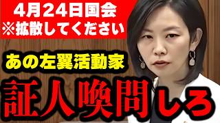 【参政党】淡々と詰める梅村の追及！無登録・無保険・波浪注意報…8つの疑問で平和丸のヤバさを完全解剖！梅村みずほ 国会質疑 【切り抜き】