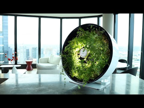 Introducing Roto Farm