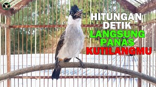 Download lagu HITUNGAN DETIK LANGSUNG PANAS KUTILANGMU || KUTILANG PAUD SUPER GACOR ISIAN VARIASI mp3 Download lagu HITUNGAN DETIK LANGSUNG PANAS KUTILANGMU || KUTILANG PAUD SUPER GACOR ISIAN VARIASI mp3