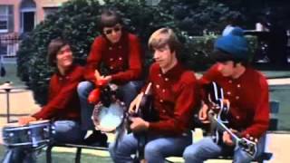 A Little Bit Me, A Little Bit You  A Monkees Tribute
