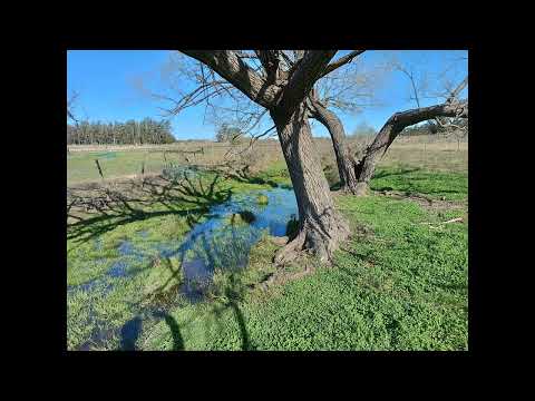 Venta Campo Totoral del Sauce