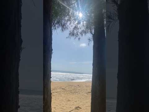 #whatsappstatus #nature #statusvideo #beach #vibes #suchi