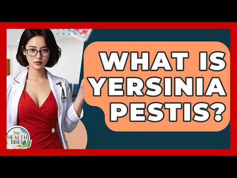 What Is Yersinia Pestis? - The Health Brief