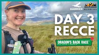 Dragon's Back Race recce Day 3 - (65k, 2,800m ascent) Dolgellau to near Ponterwyd, Mid Wales