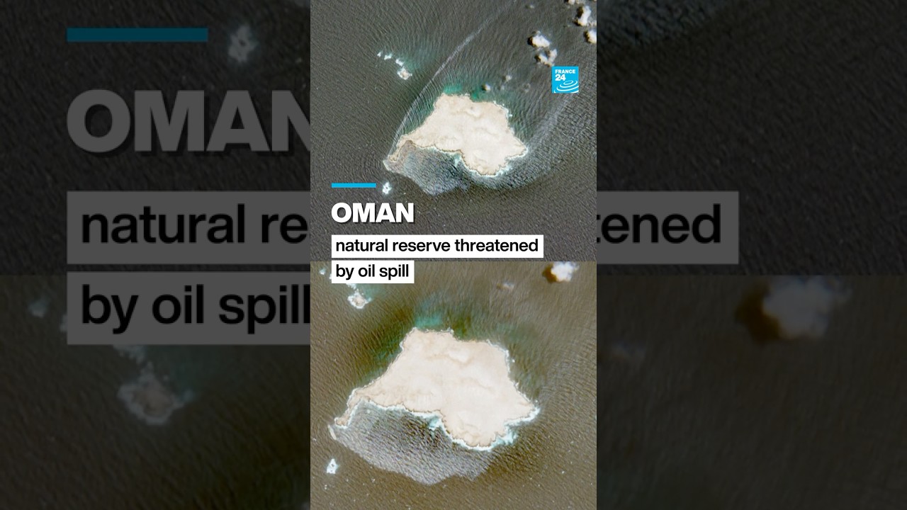 Oman nature reserve threatened by oil spill • FRANCE 24 English
