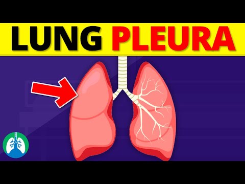 Lung Pleura (Anatomy) | Pleural Cavity | Overview