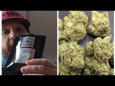 Josh TH - Previous Review