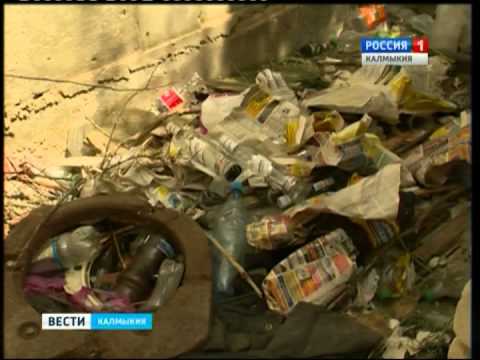Вести «Калмыкия»: вечерний выпуск 08.06.2015