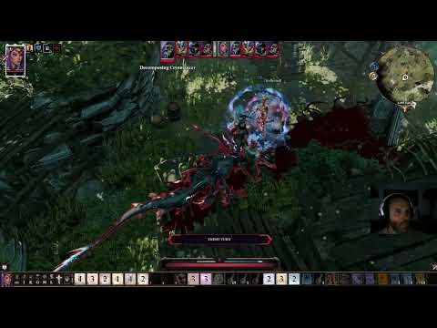 Divinity: Original Sin II Solo Voidwoken Deep-Dweller and Decomposing Fight
