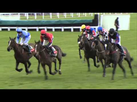 2014 Argento Chase - Giant Bolster
