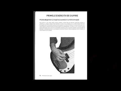 E - BASS - Cunoștințe de bază