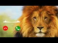 New Tiger Ringtone Download New Punjabi Ringtone