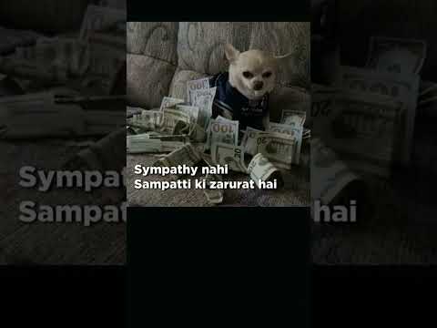 Sampati dedo koi 🗣️   #punjabisong #newsong #qatalsong #sympathy #funny