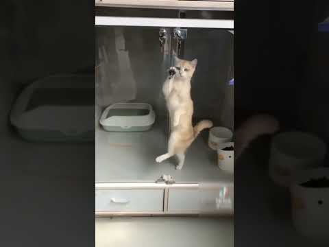 Haye Daiya Maar Dala Re.. 😂🤣