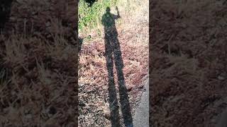 Download lagu Ich verabschiede mich erstmal von Youtube - Gruß von Matthias mp3