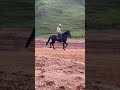Vida No Campo