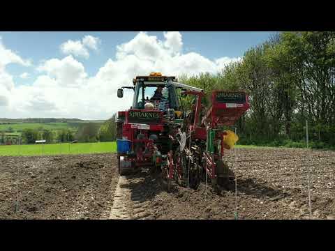 Vineyard planting at Rowles Farm