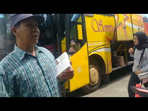LOKET AUR KUNING Bukittinggi!! BUS SATU NUSA 477 MENUJU MEDAN