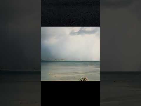 核戦争では何が起こるのでしょうか?恐怖のシナリオをシミュレーションで表現