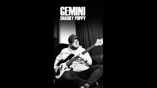 gemini | snarky puppy (bass cover)