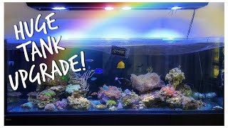 Tank Upgrade! Transferring Stock to Red Sea Reefer 3XL 900 | 240 gallon Mixed Reef