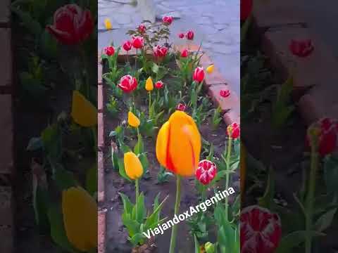 Trevelin - Chubut #patagonia  #argentina #travel