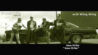 Sons Of Nut - Suns Of Not