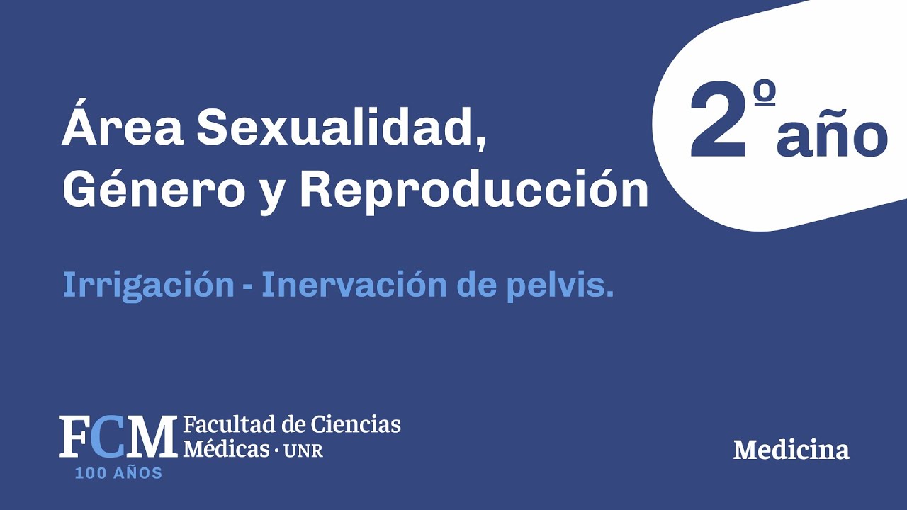 Área Sexualidad, Género y Reproducción: Irrigación - Inervación de pelvis.