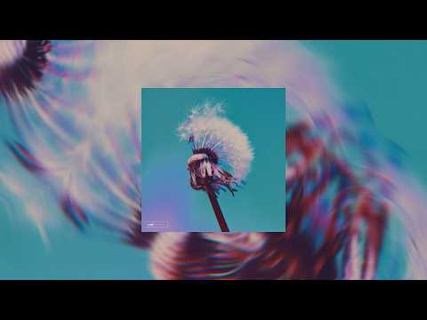 Midnight Pass & Equanimous - Exhale