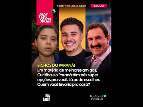 BICHO DO PARANÁ: Guia de Turismo do Pico Paraná, Pedro do BBB 26 ou Ratinho, qual sua escolha?