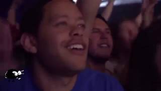 The Black keys - nova baby (subtitulado español)