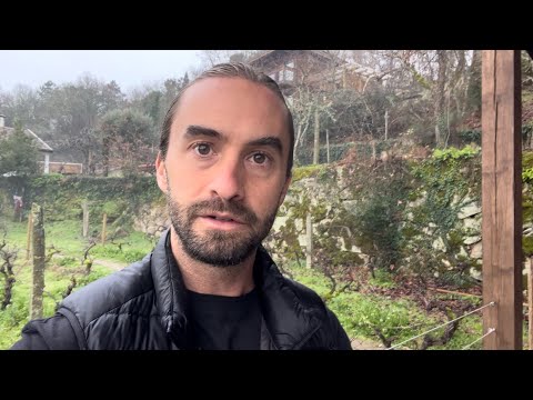 Vous ne verrez cela qu'une seule fois, juste avant que tout n'arrive.