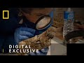 Uncover Ancient Egyptian Secrets Egypt S Ancient Mysteries National Geographic UK