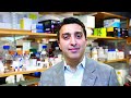 📽 Getting to know Prof. Omid C. Farokhzad