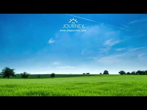 Daily Healing Meditation #8