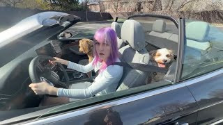 Download lagu LEARNING HOW TO DRIVE.. mp3 Download lagu LEARNING HOW TO DRIVE.. mp3