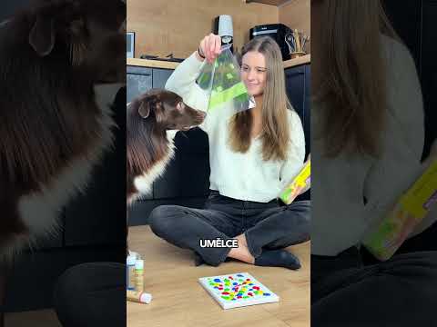Tvůj pes namaluje obraz?!😍