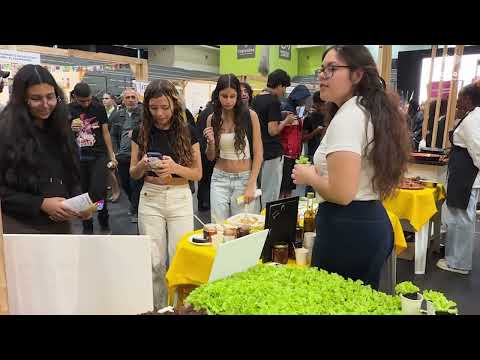 MOPE - Mostra de Ofertas Profissionais e Educativas de Odivelas 2026