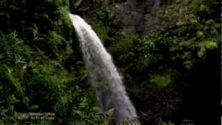 ✿❤✿ Relaxing, soothing music : Damien DUBOIS - Au Fil de L'eau ✿❤✿