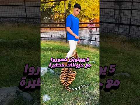 5 يوتيوبرز تصوروا مع حيوانات خطيرة 😨🐅 نور ستارز و لانا محمد و محمود ماهر و ابو فلة و غيرهم