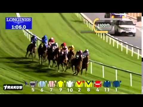 15.01.2015 Meydan (Dubai/UAE) 5.Race Jebel Ali Port - Handicap 2.000 m