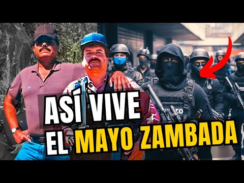 , title : '"El Mayo" Zambada -  El Líder Real del Cártel de Sinaloa que Vive en Silencio'
