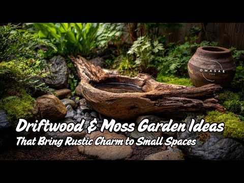 Driftwood & Moss Garden Ideas That Bring Rustic Charm to Small Spaces 🌼🪵