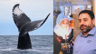 "فيديو# ٣ ماذا لو كان معنا يونس ﷺ ؟ تدبر  "إِذْ أَبَقَ إِلَى الْفُلْكِ الْمشْحُونِ image