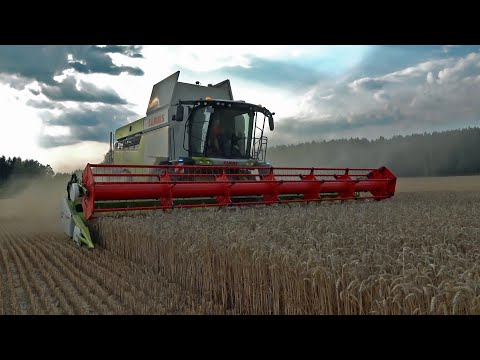 Getreideernte 2020 | Claas Lexion 7500