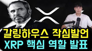 리플 XRP 갈링하우스 작심발언 리플CEO가 강조한 XRP 핵심 역할은?