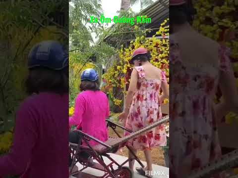 Xe Công Nghệ Gường Nằm Phần Cuôi (Hài Vui Nhộn) #linhnguyễnvlog