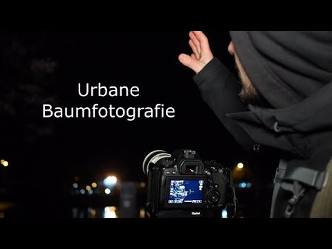 Nachtfotografie- Urbane Baumfotografie